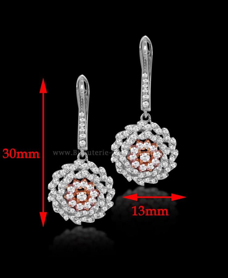 Bijoux en ligne Boucles D'oreilles Zircon 52272