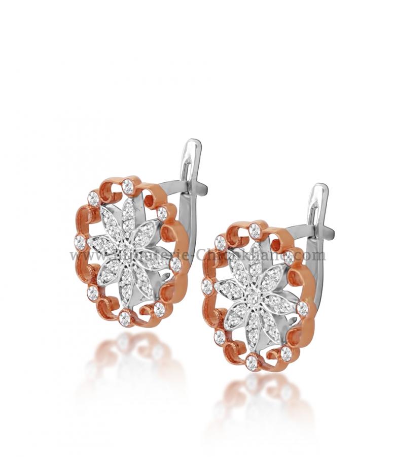 Bijoux en ligne Boucles D'oreilles Zircon 54185