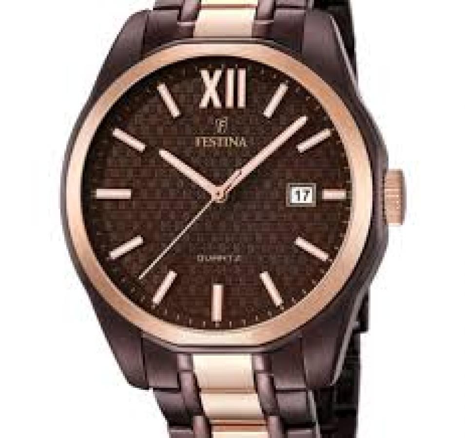 Montres Homme FESTINA F16855/2